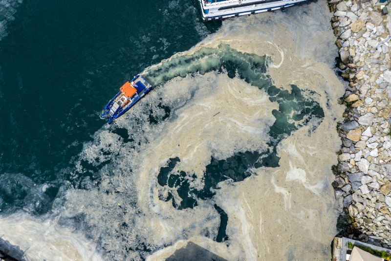 Müsilajda son dakika gelişmesi | Belediye yapmazsa ona da bakanlık el atacak