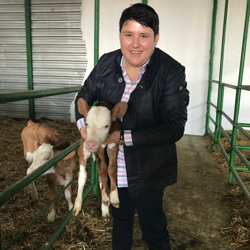 SON DAKİKA | Tosuncuk lakaplı Mehmet Aydın konsolosluğa bunları söyledi: Beni onlara vermeyin!