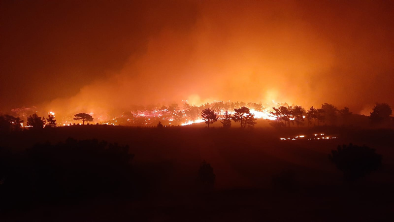 Son dakika haberi: Manavgat, Marmaris, Mersin, Adana ve Osmaniye yanıyor! Evler, oteller ve iş yerleri büyük tehdit altında...