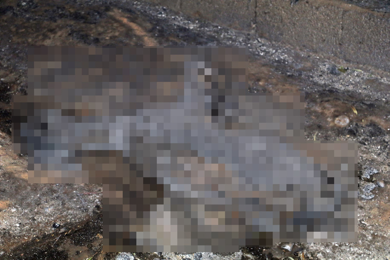 Son dakika haberi: Manavgat, Marmaris, Mersin, Adana ve Osmaniye yanıyor! Evler, oteller ve iş yerleri büyük tehdit altında...