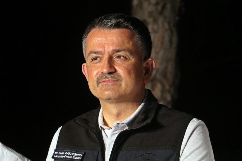 Son dakika haberi: Manavgat, Marmaris, Mersin, Adana ve Osmaniye yanıyor! Evler, oteller ve iş yerleri büyük tehdit altında...