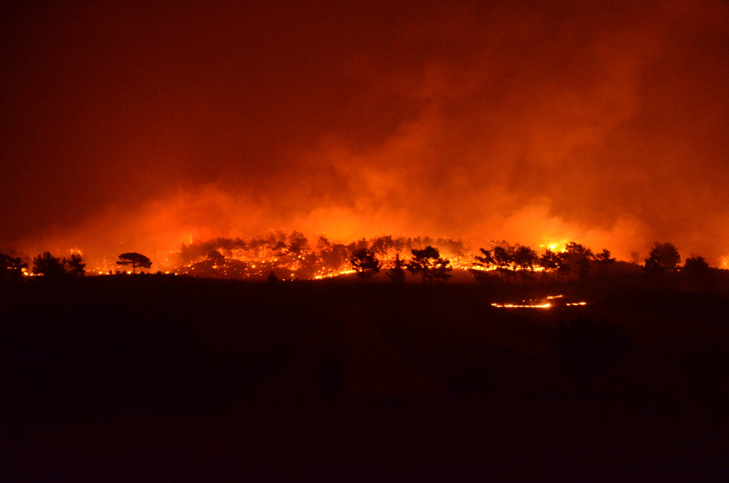 Son dakika haberi: Manavgat, Marmaris, Mersin, Adana ve Osmaniye yanıyor! Evler, oteller ve iş yerleri büyük tehdit altında...