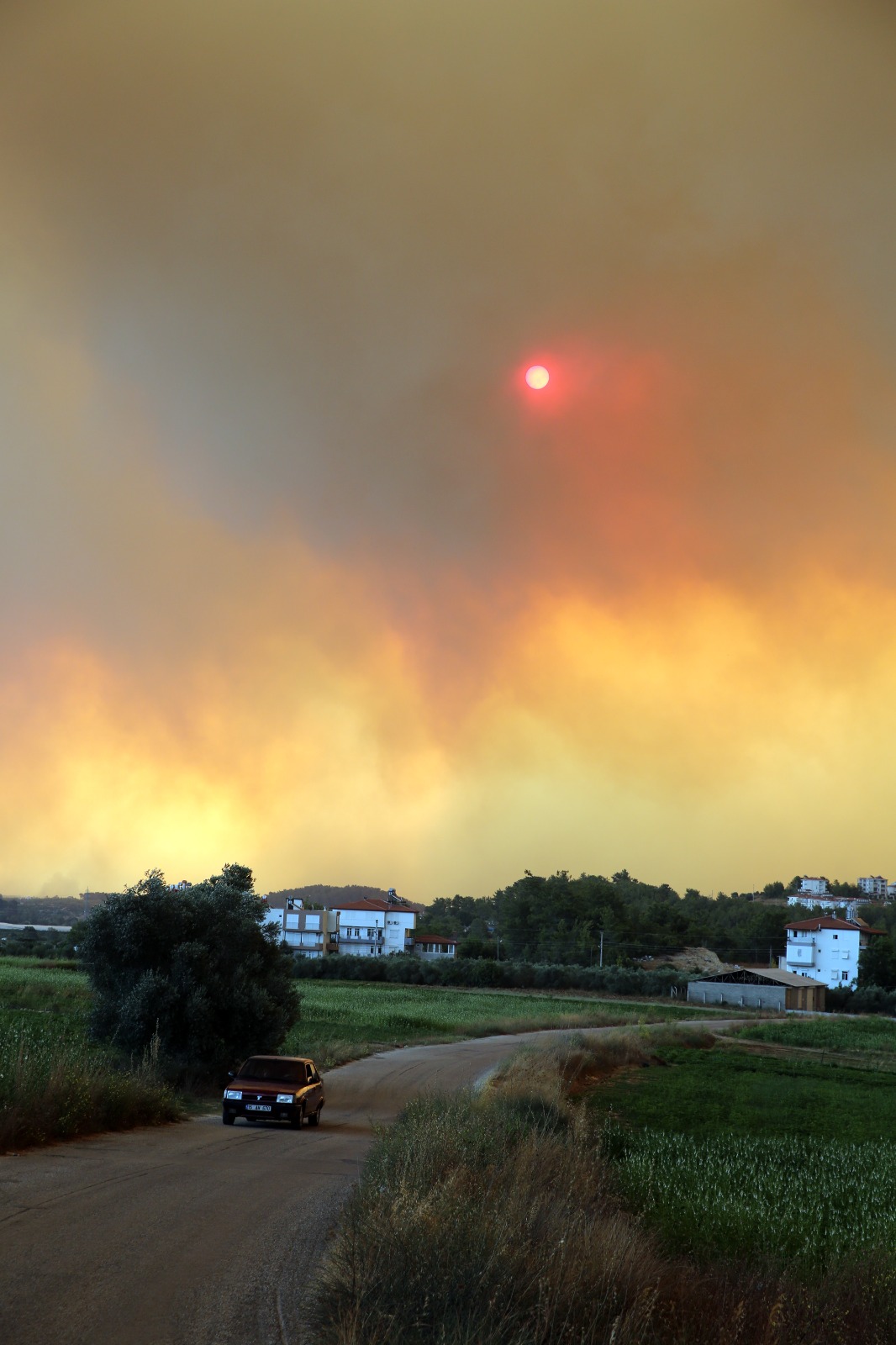 Son dakika haberi: Manavgat, Marmaris, Mersin, Adana ve Osmaniye yanıyor! Evler, oteller ve iş yerleri büyük tehdit altında...