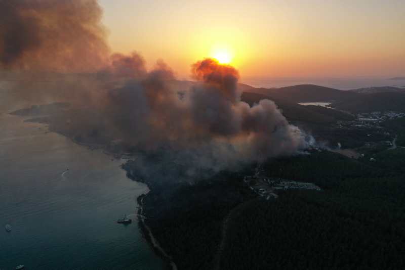Yangınlardan son dakika gelişmeleri | Bakan duyurdu: 21 ilde 71 yangın! Manavgat’ta son durum ve şok görüntüler