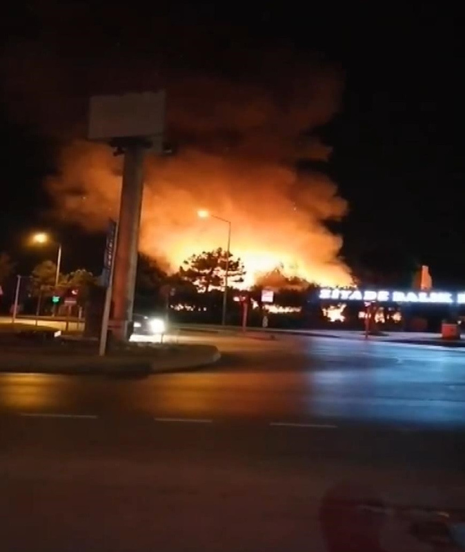 Yangınlardan son dakika gelişmeleri | Bakan duyurdu: 21 ilde 71 yangın! Manavgat’ta son durum ve şok görüntüler