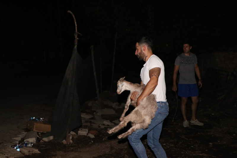 Yangınlardan son dakika gelişmeleri | Bakan duyurdu: 21 ilde 71 yangın! Manavgat’ta son durum ve şok görüntüler