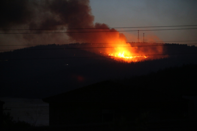 Yangınlardan son dakika gelişmeleri | Bakan duyurdu: 21 ilde 71 yangın! Manavgat’ta son durum ve şok görüntüler