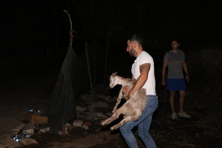 Son dakika haberi: Manavgat, Marmaris, Mersin, Adana ve Osmaniye yanıyor! Evler, oteller ve iş yerleri büyük tehdit altında...