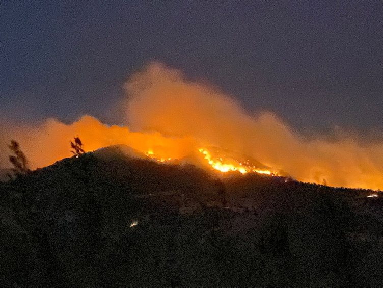Son dakika haberi: Manavgat, Marmaris, Mersin, Adana ve Osmaniye yanıyor! Evler, oteller ve iş yerleri büyük tehdit altında...