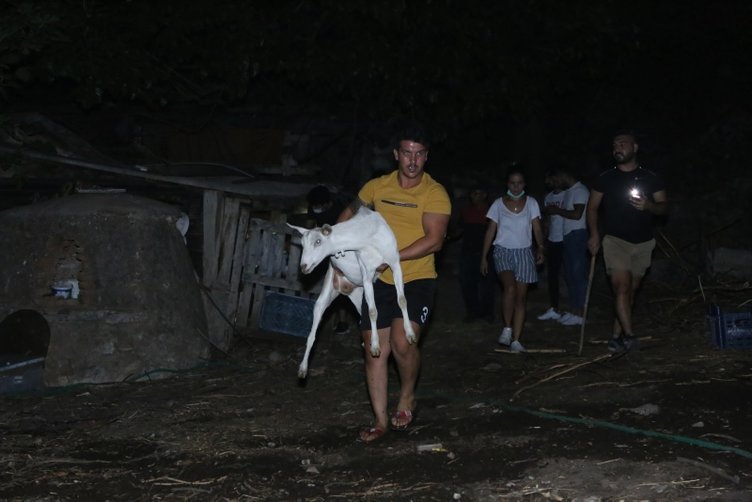 Son dakika haberi: Manavgat, Marmaris, Mersin, Adana ve Osmaniye yanıyor! Evler, oteller ve iş yerleri büyük tehdit altında...