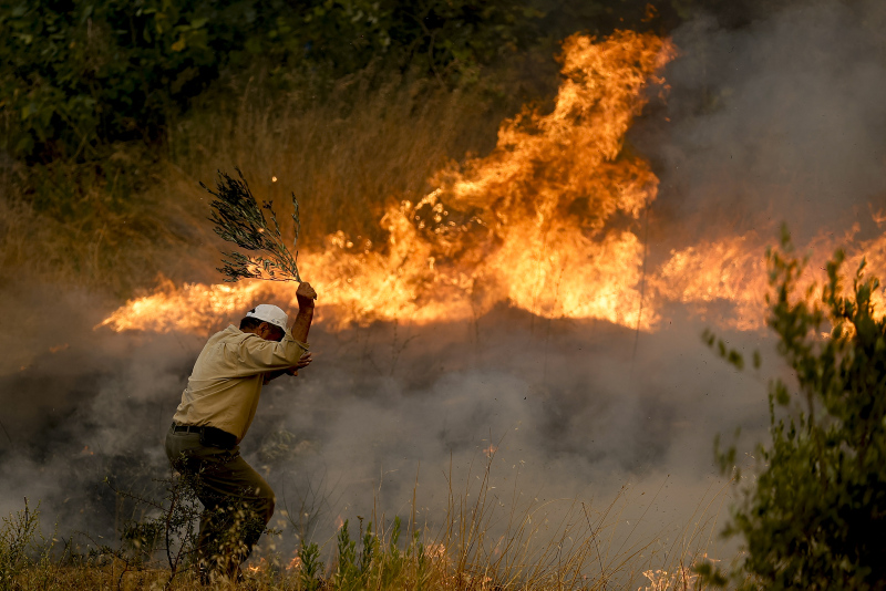 Yangınlardan son dakika gelişmeleri | Bakan duyurdu: 21 ilde 71 yangın! Manavgat’ta son durum ve şok görüntüler