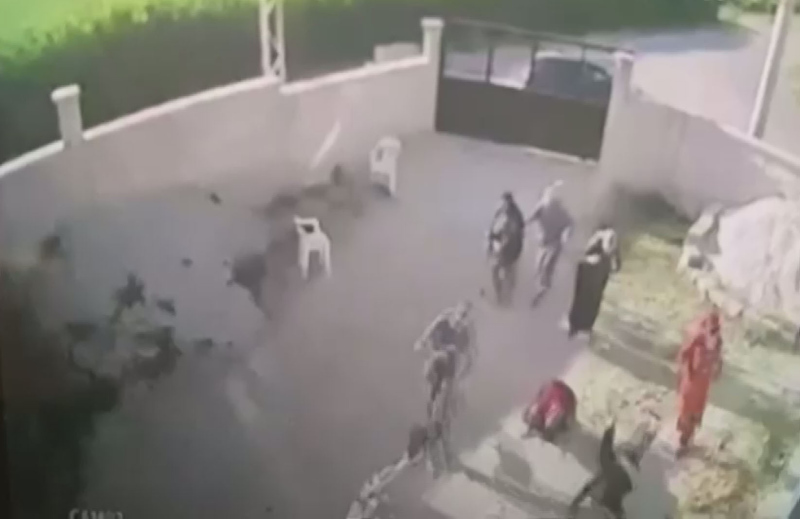 Konya’daki katliamda son dakika: Aileden çok önemli sözler