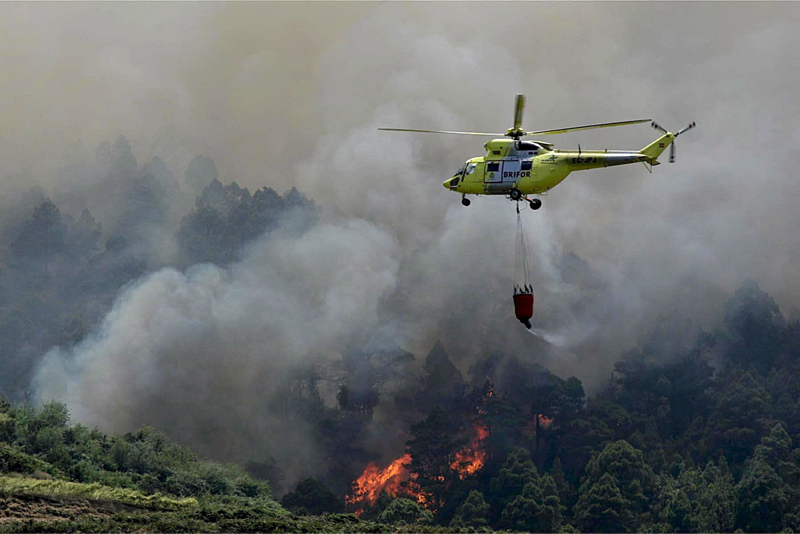 Son dakika: Batı basınından yangınlar için başlık oyunları