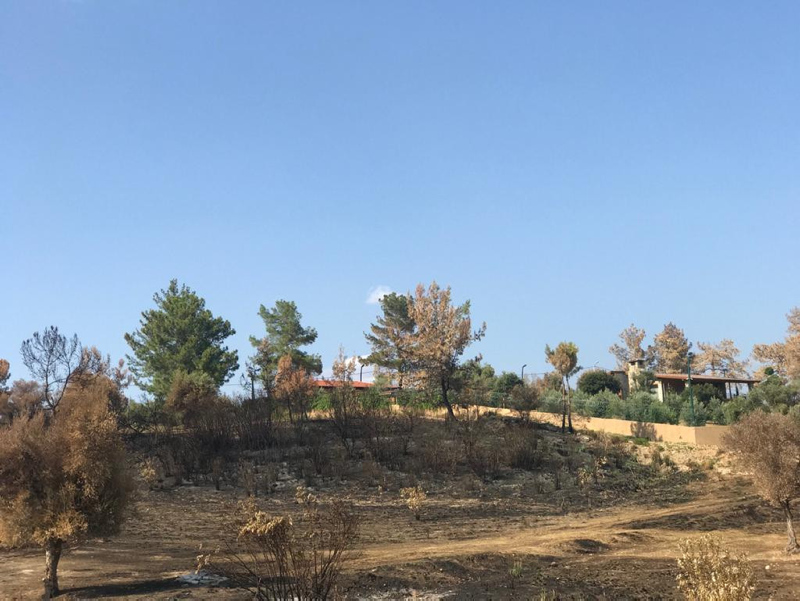 SON DAKİKA || Manavgat yanarken evini kurtaran başkan Şükrü Sözen’den akla ziyan bahaneler