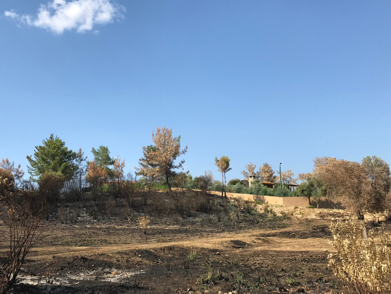 SON DAKİKA || Manavgat yanarken evini kurtaran başkan Şükrü Sözen’den akla ziyan bahaneler