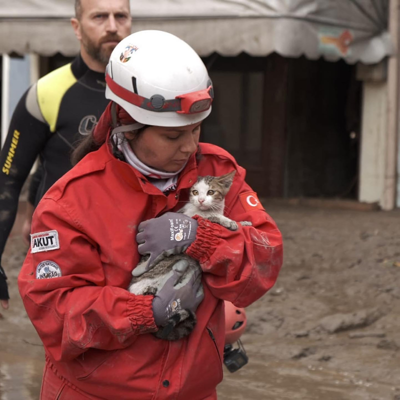 Kastamonu’yu yıkan selden son dakika haberler: Can kaybında kahreden artış