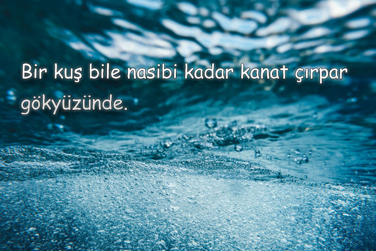 guzel sozler 2021 sevgiliye en guzel kisa uzun romantik duygusal ozlu ve anlamli guzel sozler son dakika internet haberi fotohaber yasam