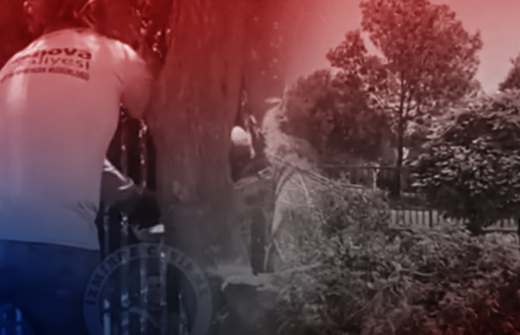 CHP’li Bornova Belediyesi’nden ağaç katliamı! Akbelen’de ’çevreci’ tiyatrosu oynayan muhalefet sessiz