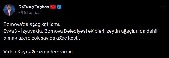 CHP’li Bornova Belediyesi’nden ağaç katliamı! Akbelen’de ’çevreci’ tiyatrosu oynayan muhalefet sessiz
