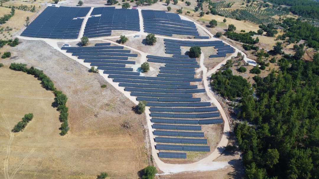 İşte sözde çevreci CHP belediyeciliği! Asırlık ağaçları kesti, santral kurdu