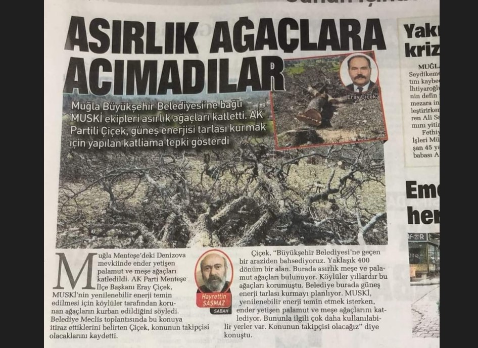 İşte sözde çevreci CHP belediyeciliği! Asırlık ağaçları kesti, santral kurdu