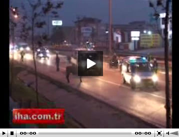 Kurbanlık tosun ortalığı birbirine kattı-1