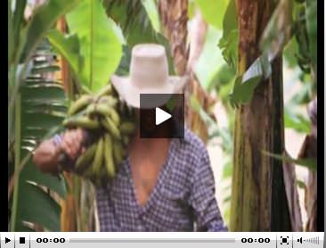 Muzdan iç çamaşırı üretti-1