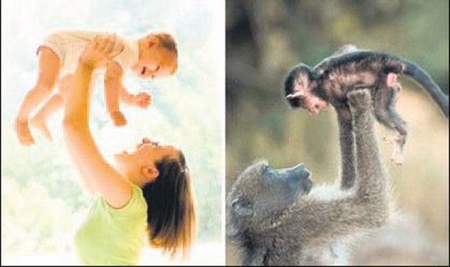 Yavrusuyla tıpkı insan gibi oynadı