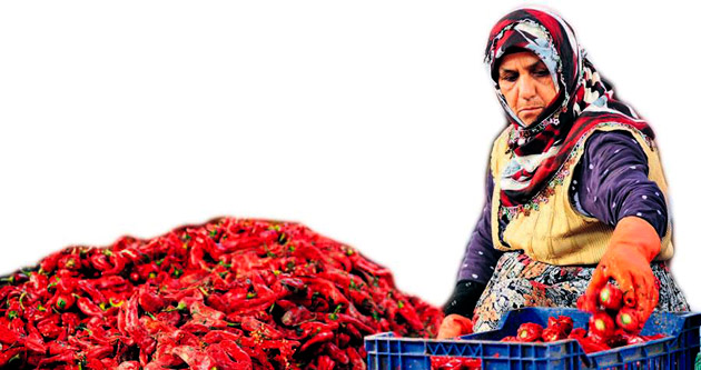 Kadınlardan 1 milyon TL’lik ihracat