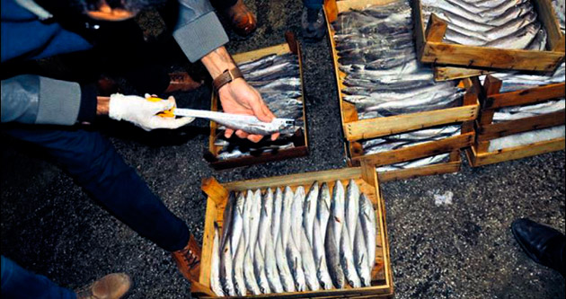 20 işletmeye küçük balık cezası kesildi