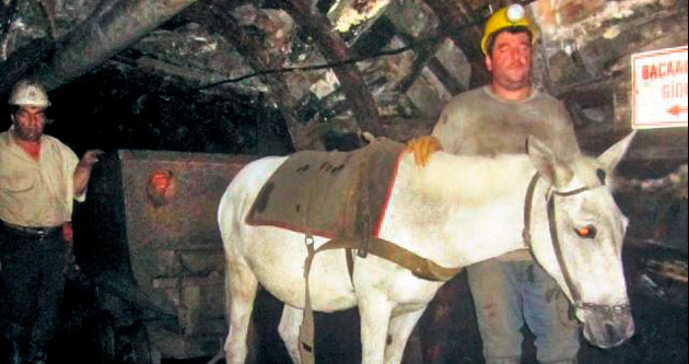 Bu devirde katırlı maden