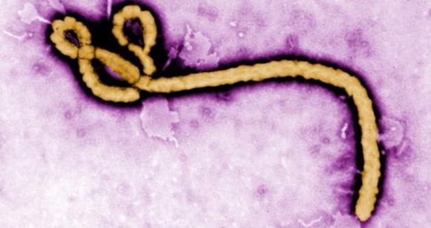 Ebola’ya karşı ortak mücadele