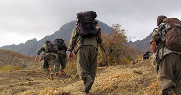 Şırnak’ta 8 PKK’lı teslim oldu