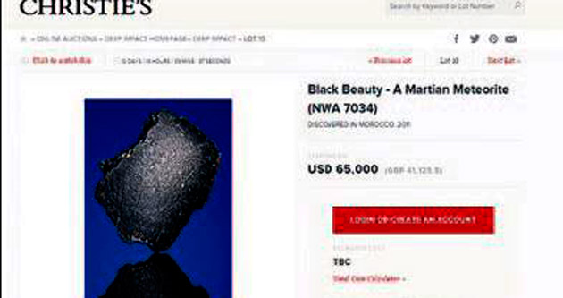 ’Siyah Güzellik’ açık artırmada