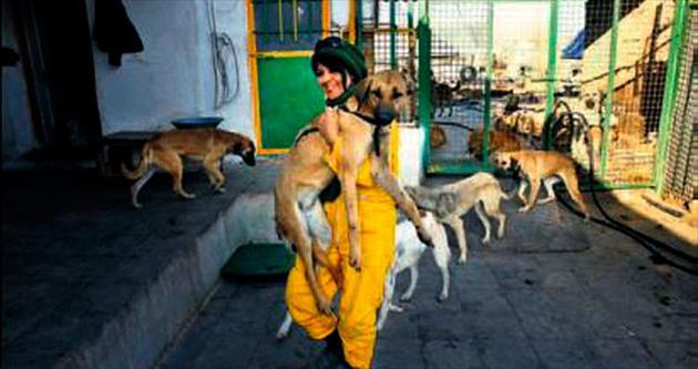 İran’da sadece bir köpek barınağı var