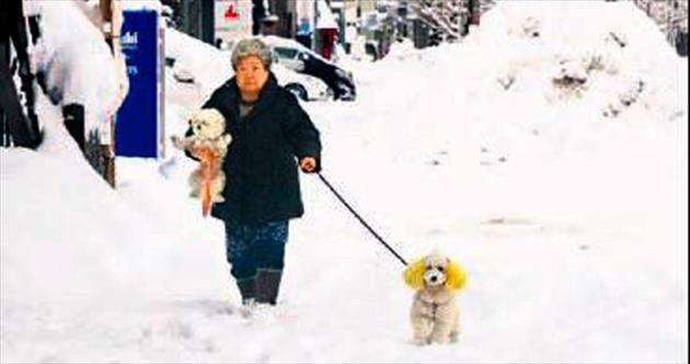 Japonya’da genel seçime kar engeli