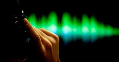 Dinlemedikleri bir kuşlar kalmış