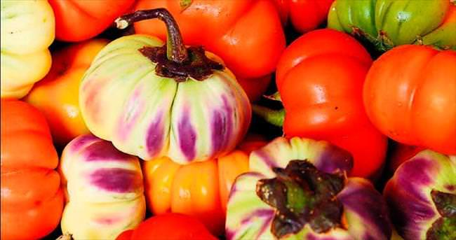 Unutulan lezzet kavatayı keşif zamanı