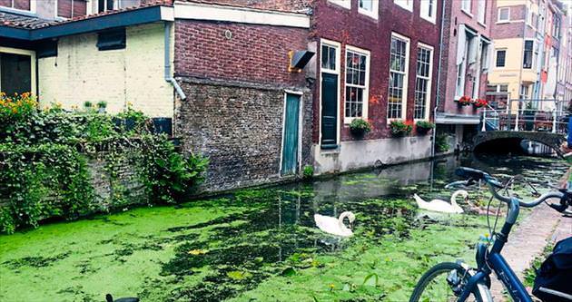 Hollanda’nın huzurlu köşesi Delft