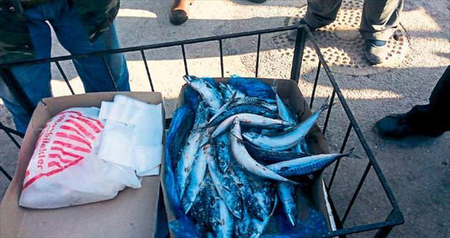 500 kilo bozuk balığa Sincan’da el konuldu