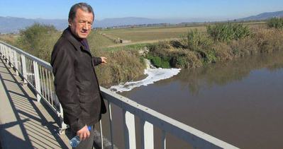 Menderes Nehri ölüm saçıyor