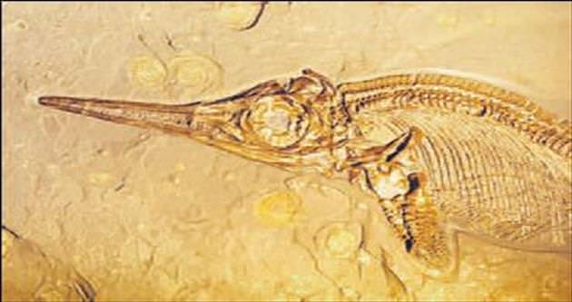170 milyon yıllık deniz sürüngeni keşfedildi
