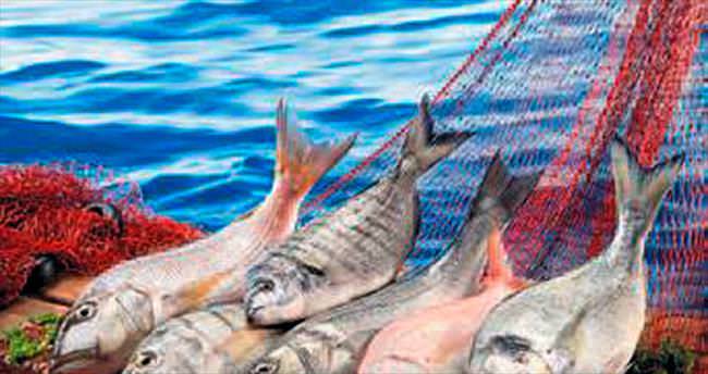 Türk balıkları dünya sofralarını süslüyor