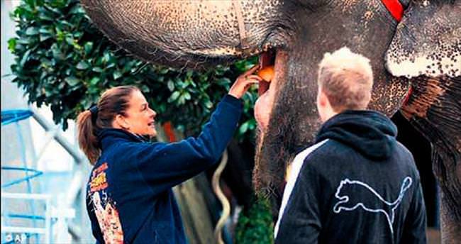 Prenses Stephanie elleriyle fil besledi