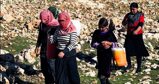 IŞİD 250 Yezidi’yi serbest bıraktı