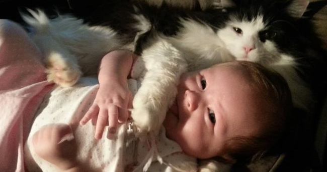 Kedi küçük bebeğin hayatını kurtardı!