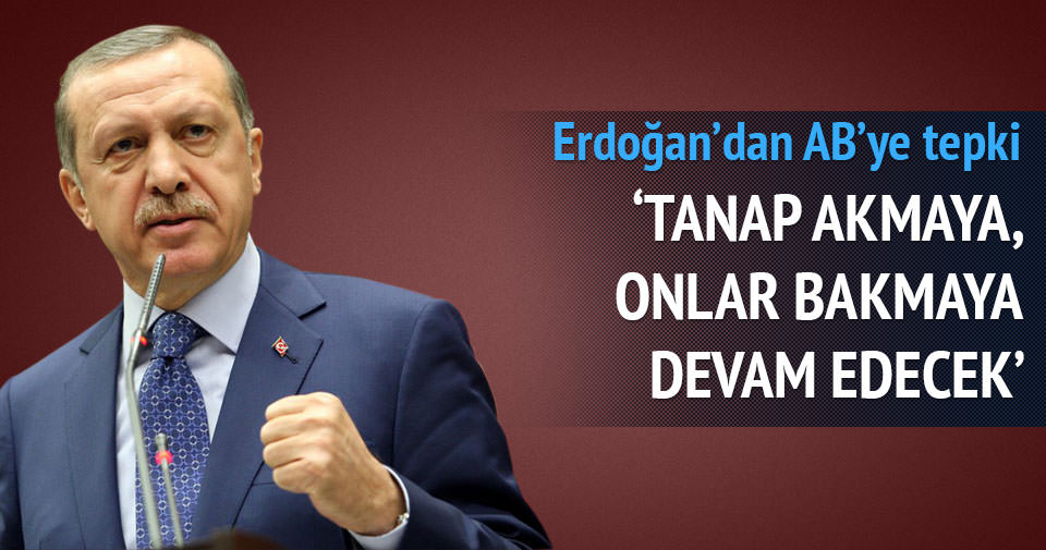 Erdoğan'dan AB'ye enerji faslı eleştirisi