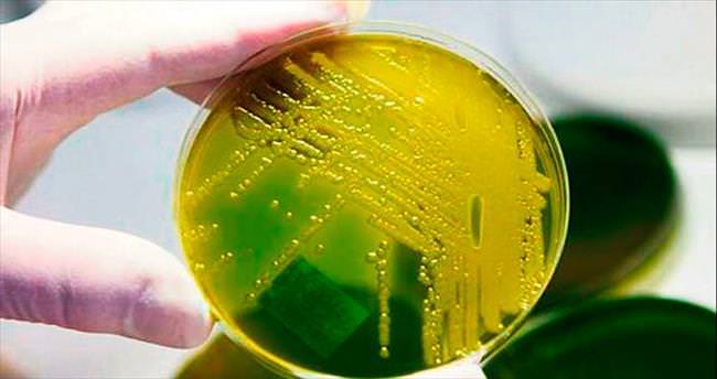 Hastanede gizemli bakteri 11 can aldı
