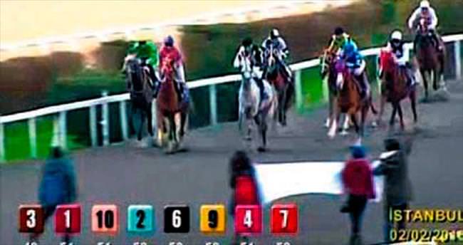 ’Atlara özgürlük’ için yarış pistine indiler