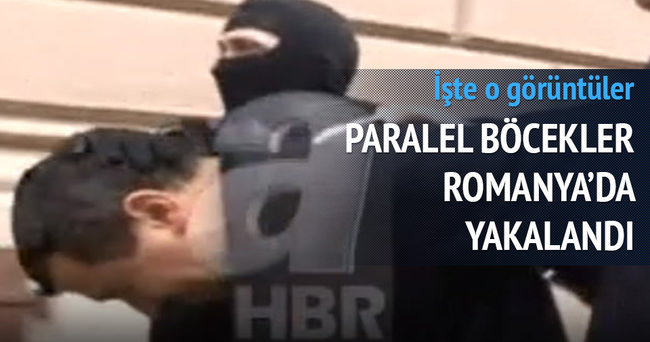 Paralel böcekler Romanya’da yakalandı!